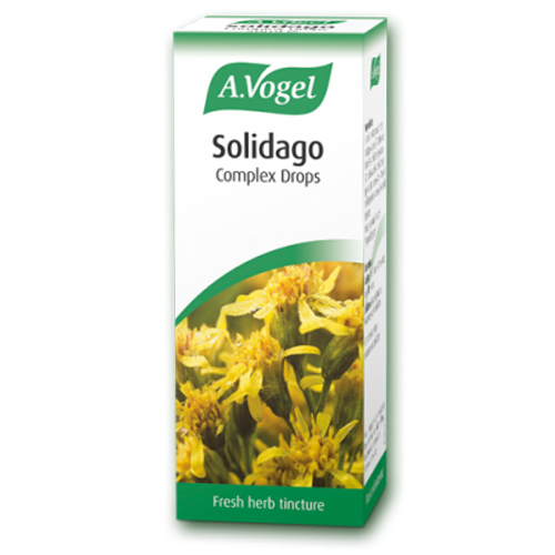 A. Vogel Solidago Complex Drops